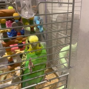 Meet your Posher, Maryam